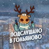 Telegram profile photo for Гольяново