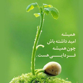 Telegram profile photo for کافه سفر