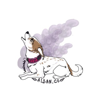 Telegram profile photo for alsan.go