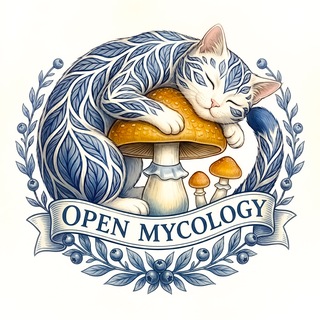 Telegram profile photo for Open Mycology (Kato Mycology) | ГрибыСпорыМицелий