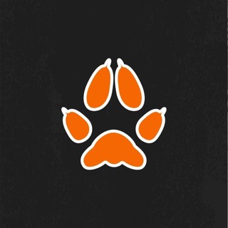 Telegram profile photo for лисьи мемы