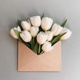 Telegram profile photo for نسائم القرآن 🌿