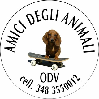 Telegram profile photo for Amici degli Animali Ravenna
