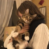 Telegram profile photo for отзывы "пиар чат by лия"