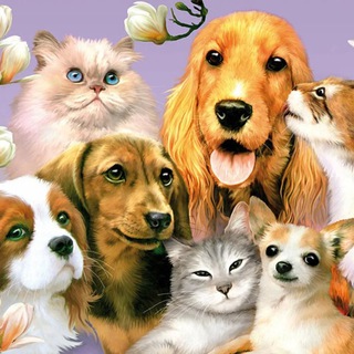 Telegram group profile photo for ЗооБалашихаЖелдор