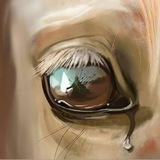 Telegram profile photo for دارالحسین
