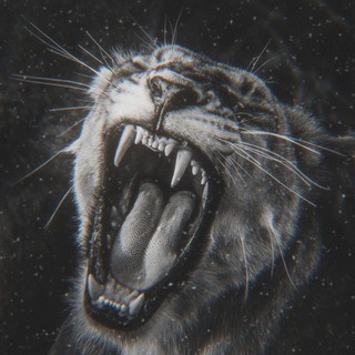 Telegram profile photo for ягуары. closed.