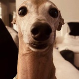 Telegram profile photo for ๐ฝ๐น๐ถ๐ป๐ถ๐ผ๐ค๐๐๐๐ . .
