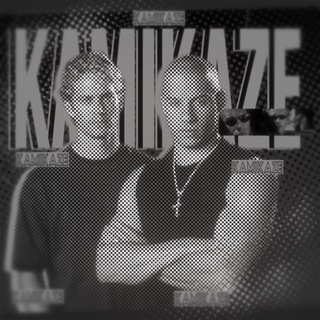 Telegram profile photo for Kamikaze