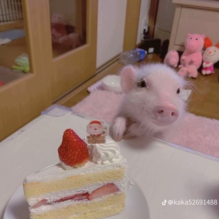 Telegram profile photo for кимико