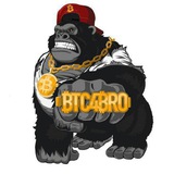 Telegram profile photo for 🌐BTC4BROchannel