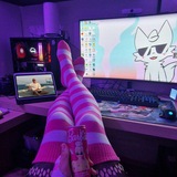 Telegram profile photo for ɴᴇxᴛ ᴛʜᴇ-ꜰᴏx.space 💜🏳🌈