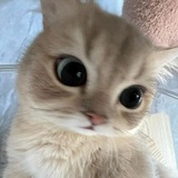 Telegram profile photo for ๐๐๐ข๐ฅ๐ข๐ฅ๐ฒ๐ท