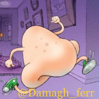 Telegram profile photo for دماغ فر😂