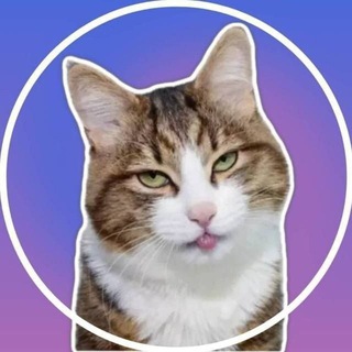 Telegram profile photo for Video Stickers - Видео Стикеры - Гиф Стики