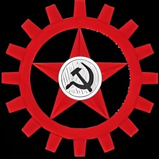 Telegram profile photo for Мехбатовцы🫡