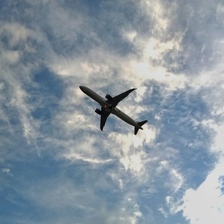 Telegram profile photo for Лоты от пилоты ✈️✈️✈️