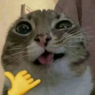 Telegram profile photo for Correspondence/Headcanons