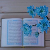 Telegram profile photo for خانه های قرآنی