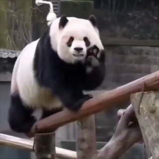 Telegram profile photo for Всё как всегда