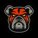 Telegram profile photo for DDOG | Chat Portal