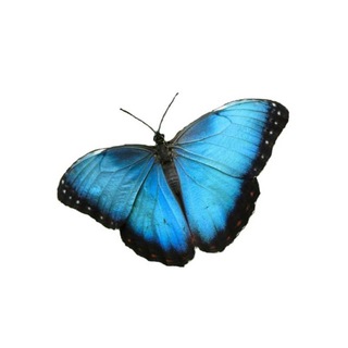 Telegram profile photo for маи
