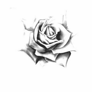 Telegram profile photo for انتقاءات⚘