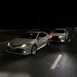 Telegram profile photo for SHUMDUK
