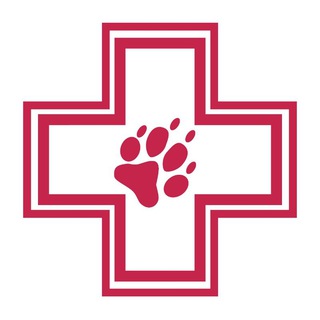 Telegram profile photo for ДОКТОР ВЕТ