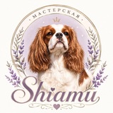 Telegram profile photo for shiamu