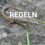 Telegram profile photo for Regeln der Gruppe „TierBilderposten“