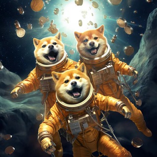 Telegram profile photo for 3 DOGS工具箱🧰