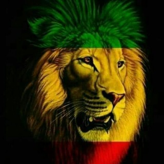 Telegram profile photo for ኖህ ኢትዮጵያ