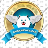 Telegram profile photo for cachorrovoladortv
