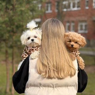 Telegram profile photo for Викинария 💖🐶