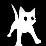 Telegram profile photo for CEO