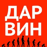 Telegram profile photo for ДАРВИН