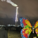 Telegram profile photo for Смешные ТикТоки