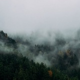 Telegram profile photo for Бездна Безумия PANTELEEVA
