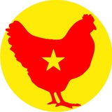 Telegram profile photo for کارآفرینی با پرورش مرغ اینفارم