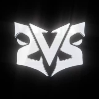 Telegram profile photo for 2VS