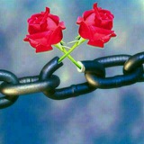 Telegram profile photo for ترانسفور هوایی ترابری زمینی مهاجران وضعیت حال و اینده رویداد ها تحقیق تفحص اتفاقات کنشگر مسائل شرایط ویزا پاسپورت گذرنامه سرحداد