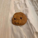 Telegram profile photo for $COOKY CTO