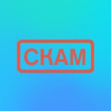 Telegram profile photo for scamtonchat