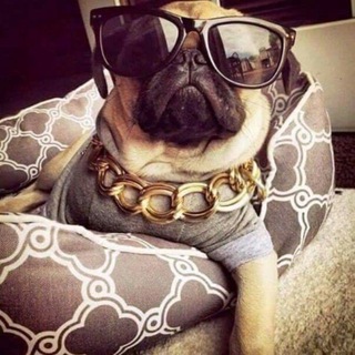 Telegram profile photo for шибаа стор