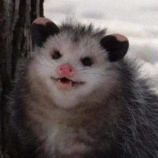 Telegram profile photo for Kasper