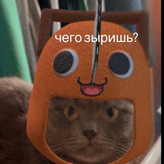Telegram profile photo for Хлам Офишла!