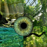 Telegram profile photo for green-eyed 🌿💚