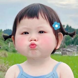 Telegram profile photo for 纸飞机全网贴纸GIF更新