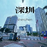 Telegram profile photo for 【深圳大圈】高端看图选妃